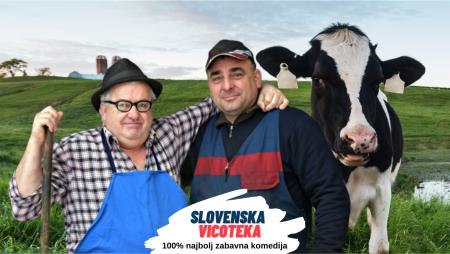 Slovenska vicoteka 